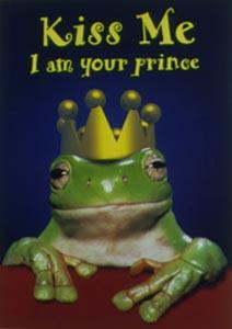 prince frog are scattered around...beware! - prince frog