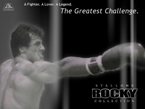 Champion of all times - Sylvester Stallone one of the best actor on this planet is showing his thunder punch and a bullet arm in this movie called ROCKY in which the starrer amazes the crowd with his exraordinary boxing skills and his super quality acting