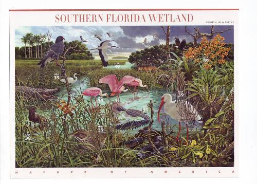 Southern Florida Wetland - Fourth in a series - Nature of America