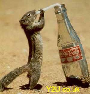 Passion of coke - Coca COla