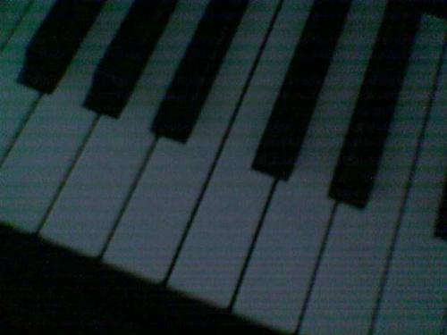 my yamaha organ - i really love playing piano/organ. but i use organ alot because it's more easy to use. i'm really good at it. hope you enjoy the photo.