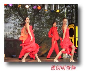 flamenco - the passion of flamenco,it is very beautiful!