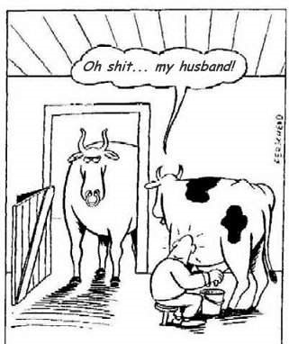Look - Cow and Bull The man who is behind a women who`s already committed is always in danger....!!!!!