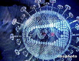 sars - a nes virus caused many people deaths sars - a nes virus caused many people deaths