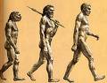 Human Evolution - Photo of Human evolution.