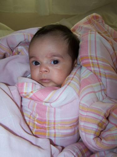 Serious - This is a really Serious look my daughter is giving me, I dont think she wants anymore pics taken... what do u think??