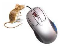 Mouse over pc mouse - Live mouse over a computer mouse