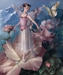 garden fairy - garden fairy photo