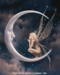 Moon Fairy - Moon fairy