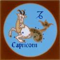 Capricorn  - zodiac sign, Capricorn
