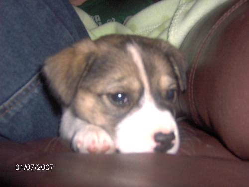 me and heather's baby - my lil baby girl.. o'malley
