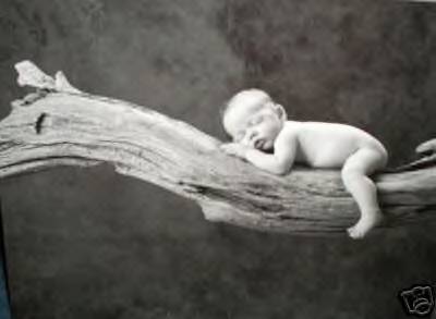Anne Geddes - I am a HUGE Anne Geddes fan!! I jsut LOVE her work!!