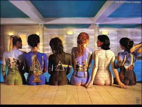 Pink Floyd Backs - This picture shows some real talent and some real love for floyd.