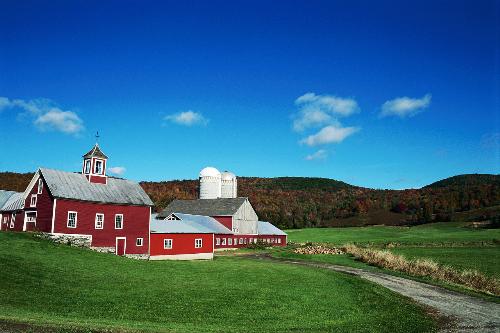 farm - life on a farm farm - life on a farm