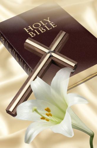 bible - do you read the bible how often do you read it bible - do you read the bible how often do you read it