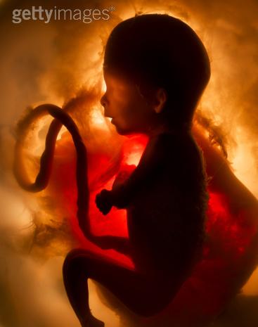 life - Formation of life
