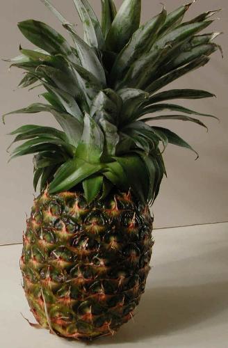 pineapple - pineapple, ripe, sweet