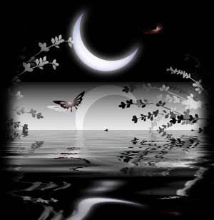 night - night