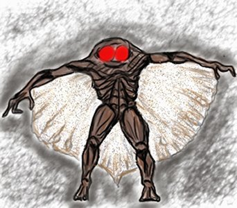 The Mothman Profacy - A picture of a supernatural event