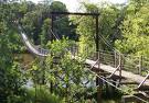 Swinging Bridge -  high and long swinging bridge surrounded by trees