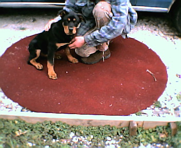 Little man - Tiny when he was tiny!