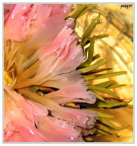 blooming tea - open tea flower, from blooming (blossoming) tea. this looks suspiciously like female ... uhm...organs.