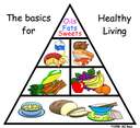 Eating Healthy - why should eating healthy cost so much money?