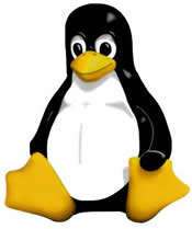 I use Linux - Tux - the sweet Linux penguin