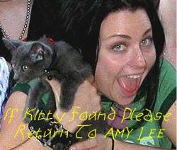 amy lee - amy lee with a cat