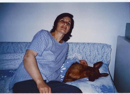 our dog 'boby' - Our dog 'boby' was very wise dog, rase pincher, he learned to do everthing like we are.