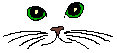 Cat face - Cat face glitter