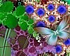 Butterfly Flowers - Butterfly in Garden