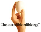 incredible? - isn&#039;t it incredible how densely nutrients are packed in a small egg? yes, it is really rich and greatly helpful to our body. do you eat it regularly? what are your comments on it?