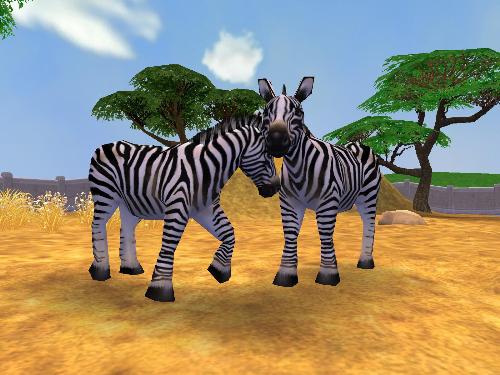 Zoo Tycoon 2 - Some zebra from the games Zoo Tycoon 2