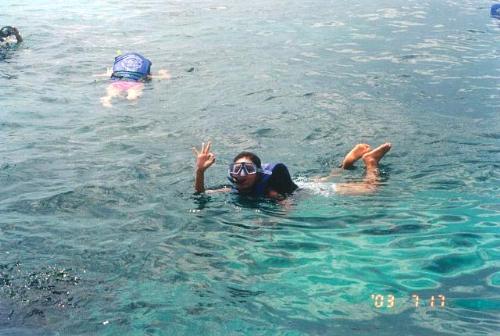 phuket - snorkeling at Phi Phi Island
