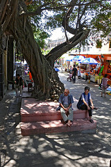 under shadow - shadow
