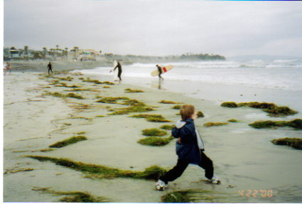 San Diego - Son playing on the beach in San Diego