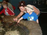 Starfish - This is a picture of my nephew Cam and I petting a really cool starfish at the Columbus Zoo.  He loved it, and So did I.