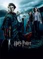 Harry Potter - Do u like his specs