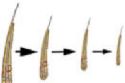 Thinning Hair - Thinning Hair Folicles Thinning Hair - Thinning Hair Folicles