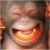 Monkey Avatar - this is a monkey avatar picture, a good friend of mine got from me and i take it to any profile i sign up for, hope you all like it and by the way, i look pretty much like the monkey, but a bit less hairy hehehe.