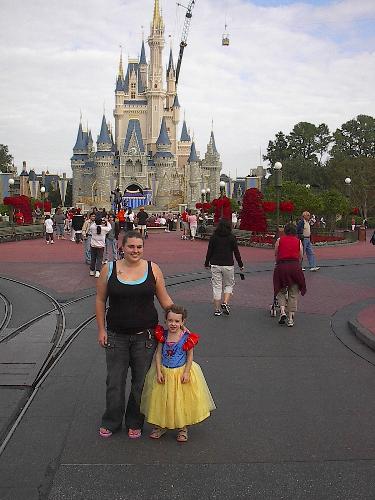 cinderella castle - cinderella's castle disney world