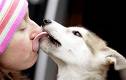 man's best friend - A dog licking his owner: 'Thank you'