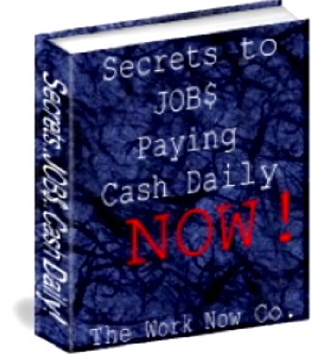 Jobs Paying Daily - Many ebooks presented on internet how to make extra money with jobs from home. Here one of it, sounds good.