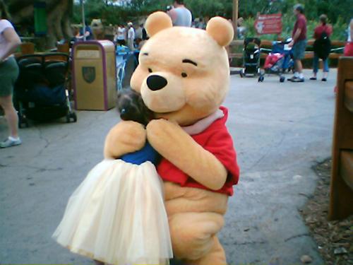 winnie the pooh - winnie the pooh at disney world