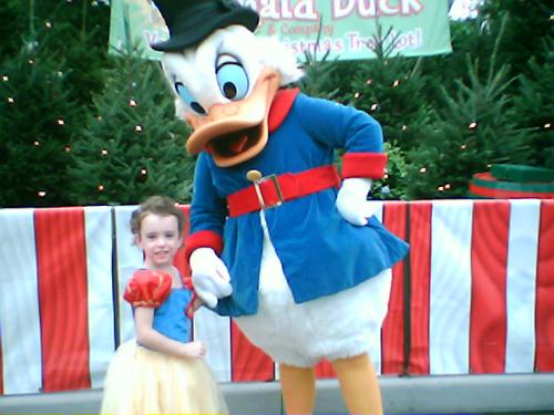 scroodge mcduck - scroodge mcduck at disney world