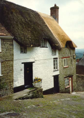 English cottage - An English cottage in the country