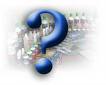 Who am I? - Know your self more.