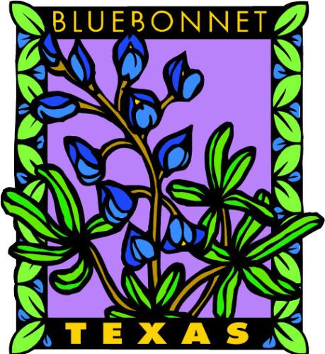 Bluebonnet - The state flower of Texas