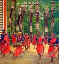 vizag-bastar-tribal - tribal dance